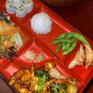 Ch Teri Box (D)